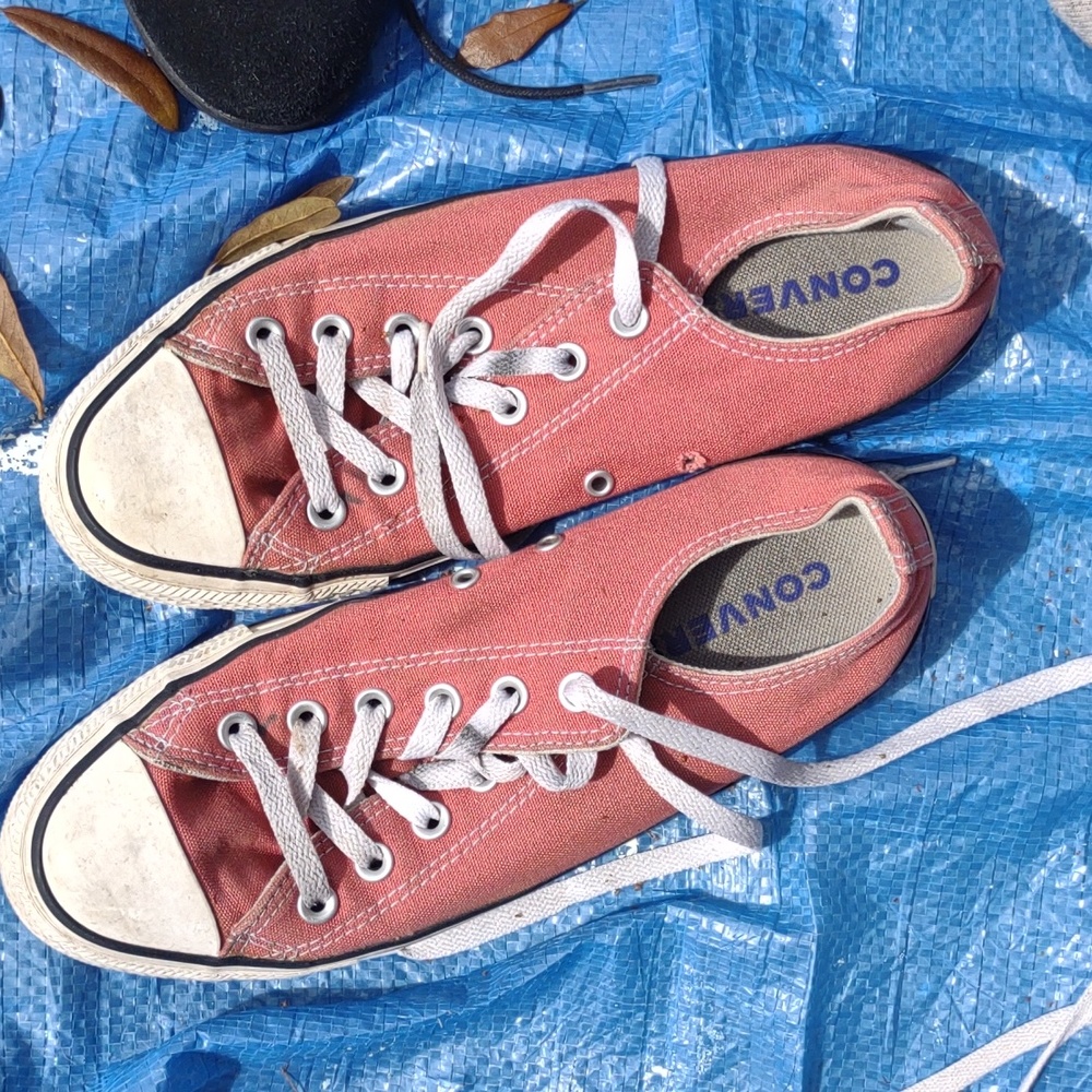 red low top converse womens